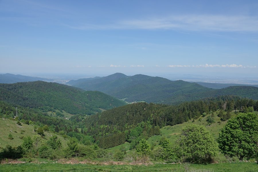 File:Paysage au Buchwald (Wasserbourg).jpg