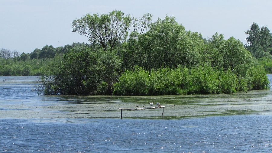 Lago Kiovo con un'isola al centro