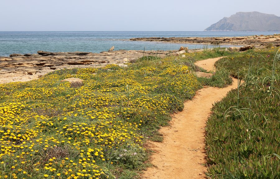 File:Küstenpfad bei Colònia de Sant Pere.jpg