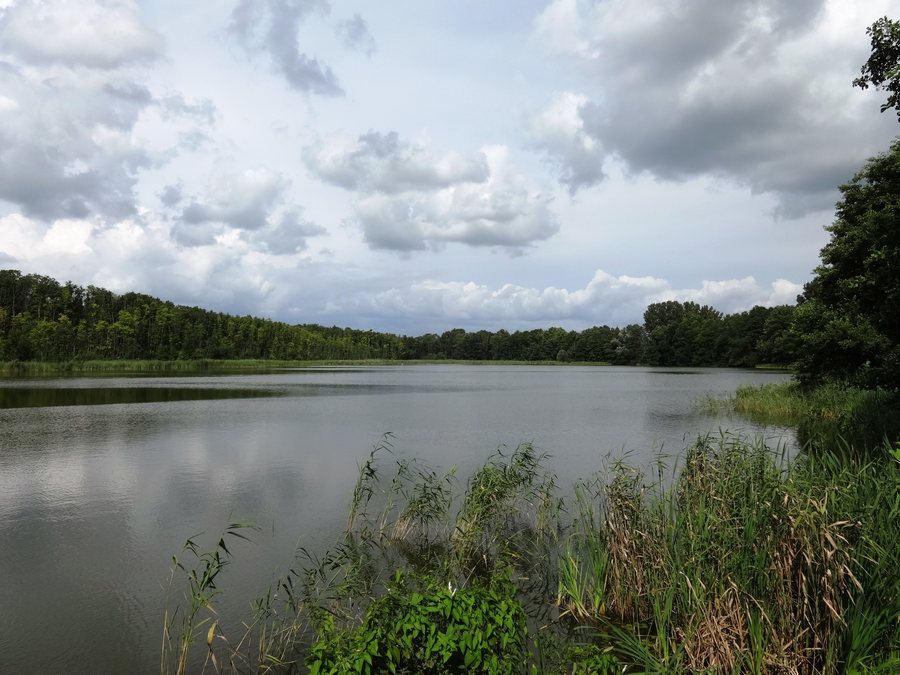 File:Buggenhagen Schlosssee.JPG