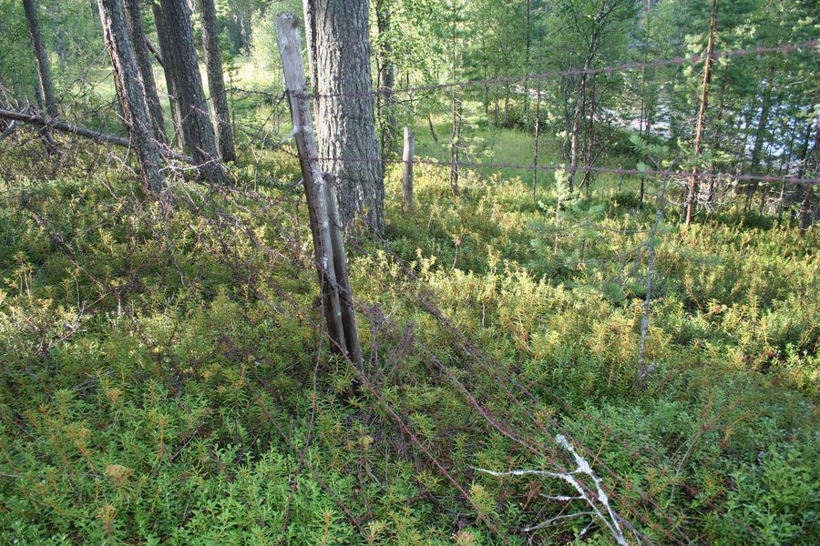 Landschaft im Loukhsky District in der Republik Karelien