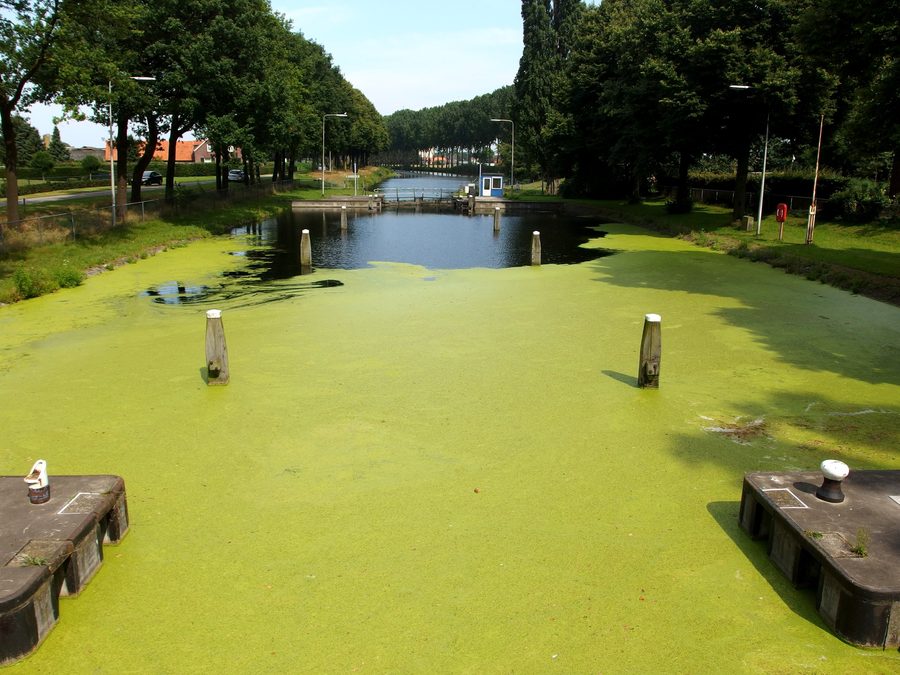 Chiusa del canale Hulsen nel Zuid-Willemsvaart a Nederweert