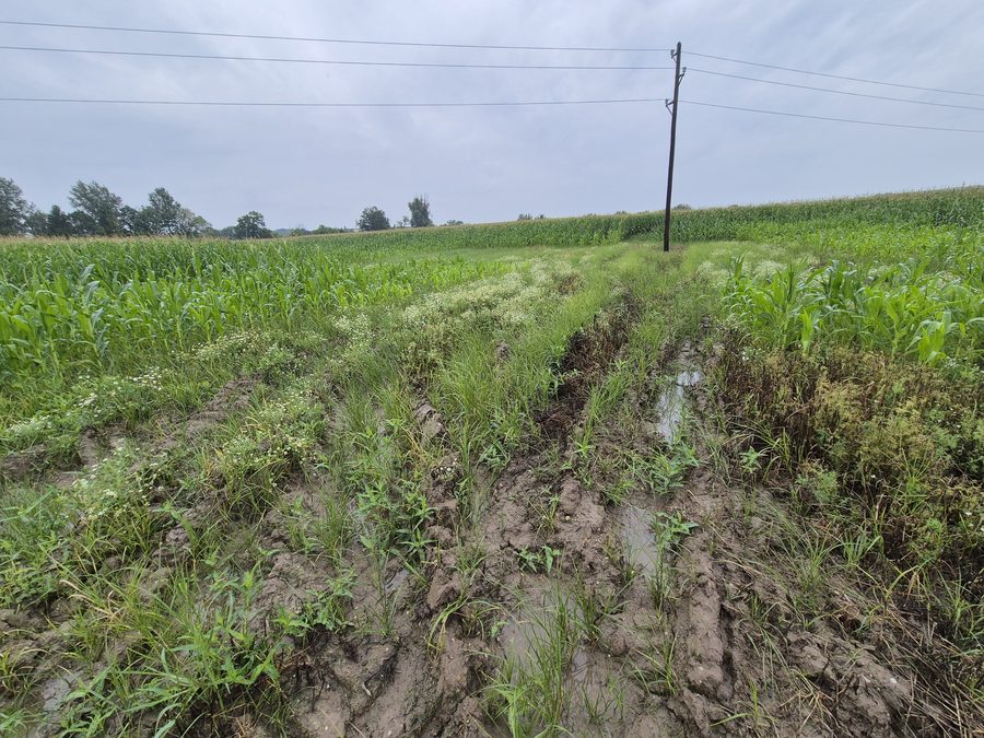 Landwirtschaftlich geprägte Feldlandschaft zwischen Göllersdorf und Großstelzendorf im Bezirk Hollabrunn