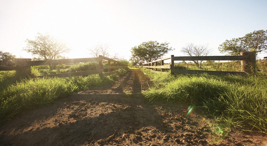Fattoria agricola nelle Adelaide Hills nel Sud Australia