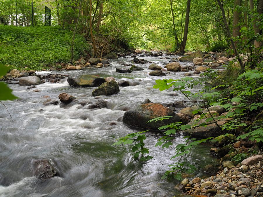 Altarm der Schwentine in Schwentinental