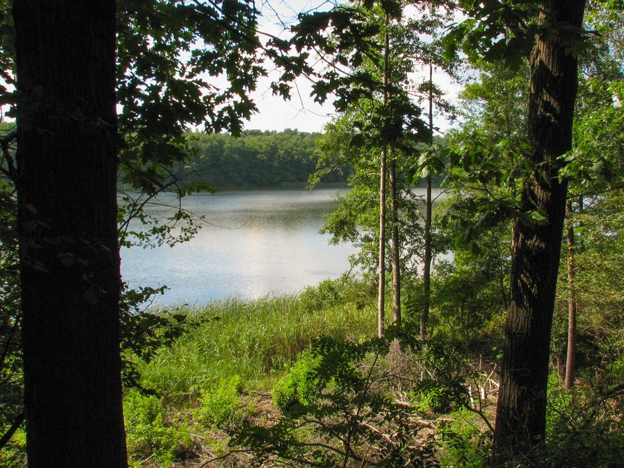 Der Fängersee vom Ostufer im unteren Gamengrund