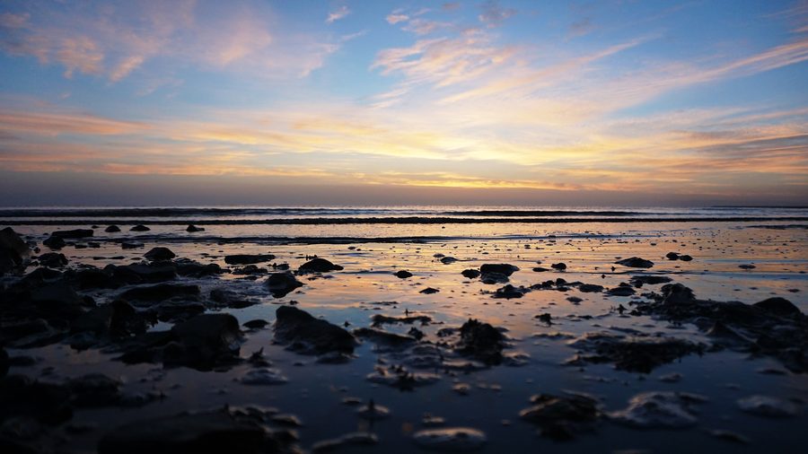 Qinghai Lake in China surrounded by open plateau landscape