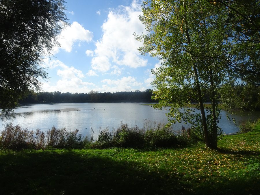 File:Boucle des Riez site du Marais de Meurchin en2022 (3).jpg