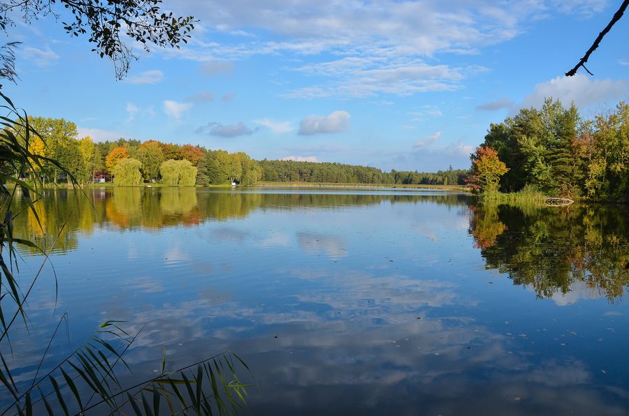 Sonnensee bei Flachslanden in der ländlichen Landschaft Mittelfrankens