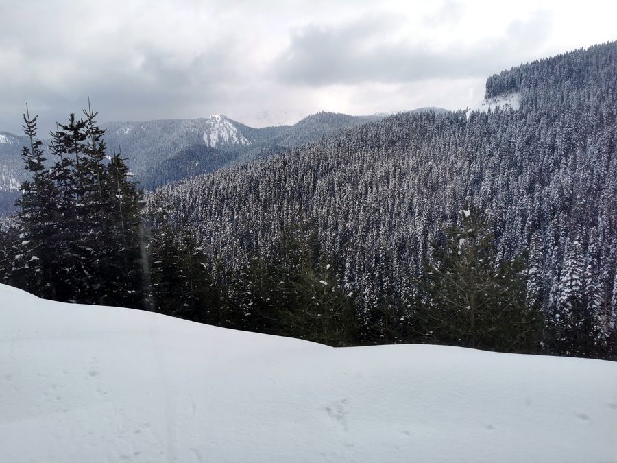 Paesaggio nel Parco nazionale del monte Ilgaz vicino a Çankırı