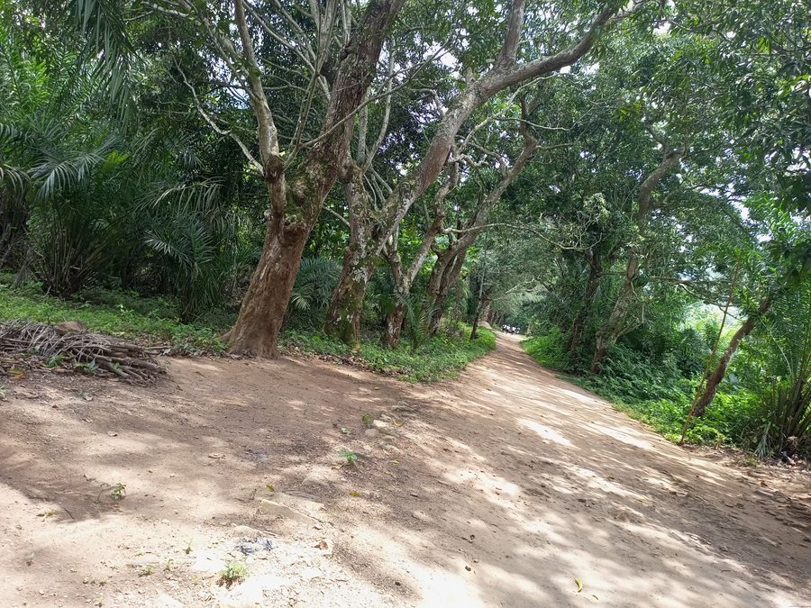 Forêt de Missahoè dans la préfecture de Kloto au Togo