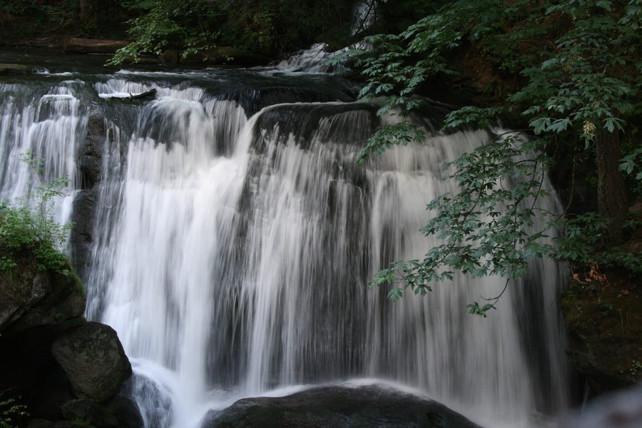 Whatcom Falls nel Whatcom Falls Park, Bellingham, Washington