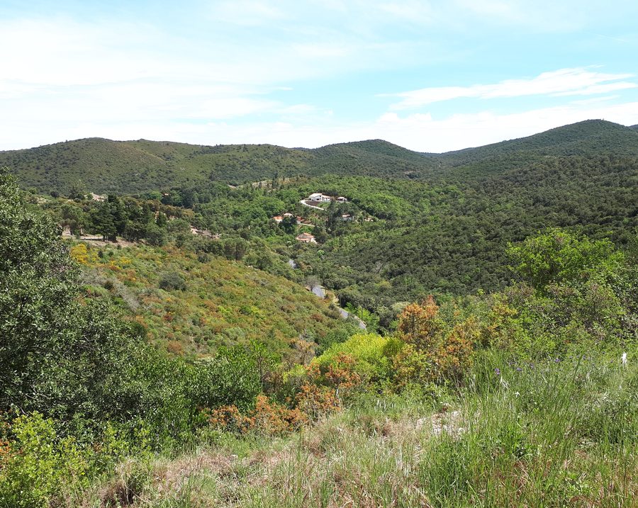 Vallée de Còrrec des Hostalets dans les Aspres