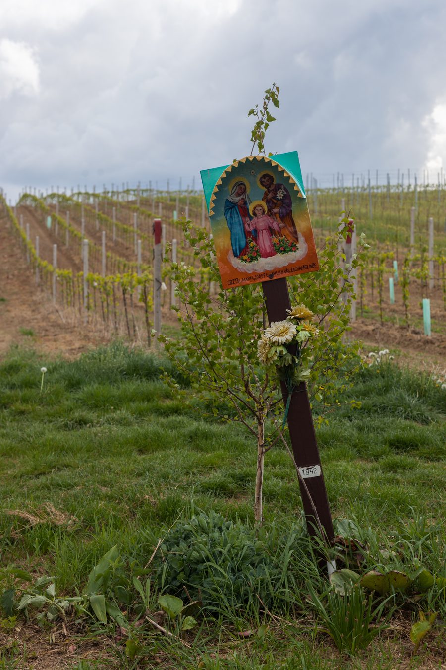 Colonna del vino nei vigneti presso Čejkovice in Moravia Meridionale