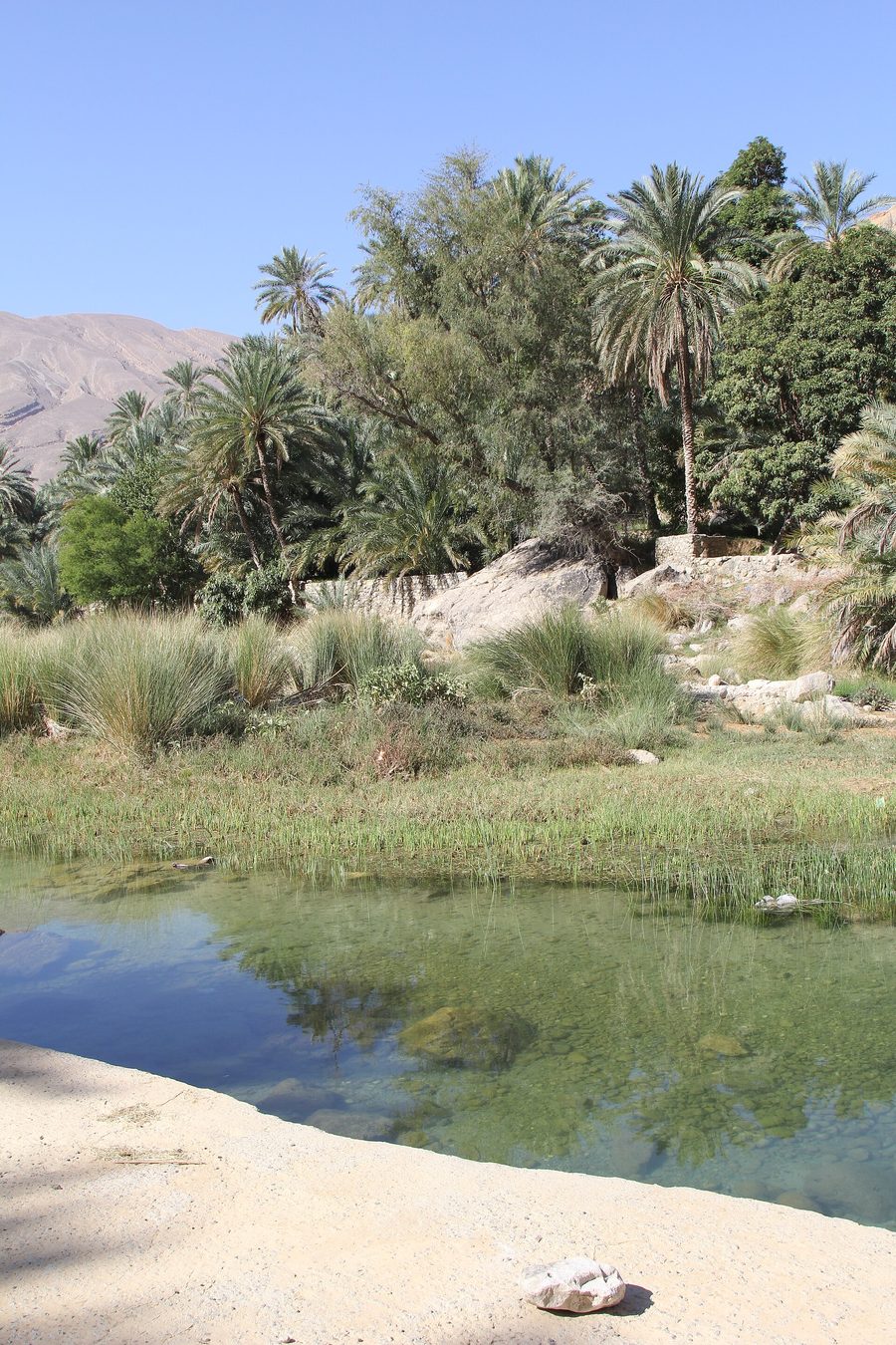 Paesaggio in Oman con un ambiente montuoso e desertico arido