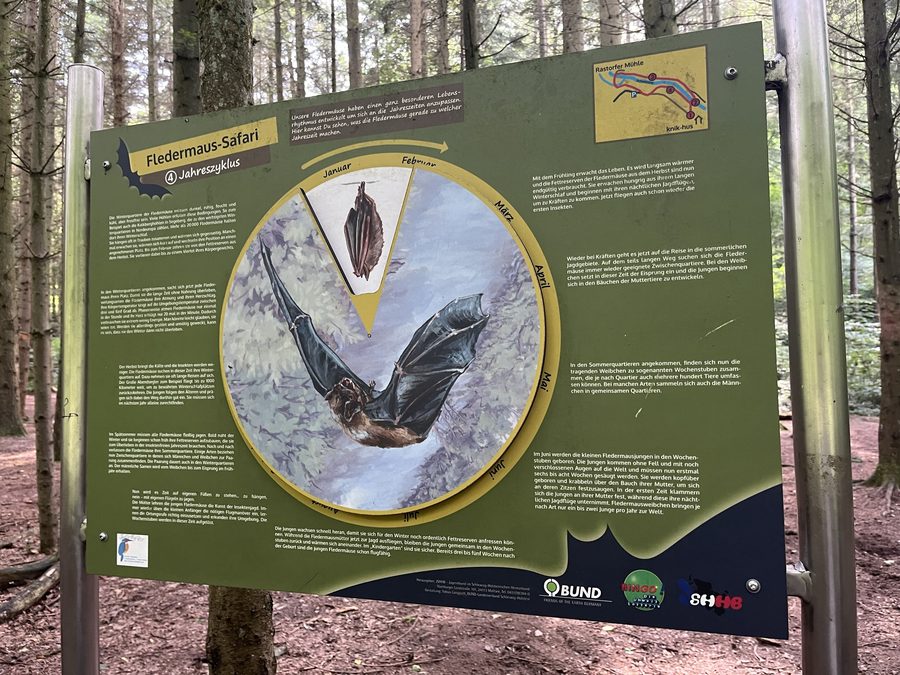 Cartello informativo per il safari dei pipistrelli nello Schwentinepark