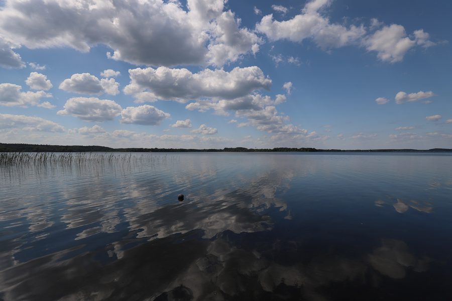 Blick auf den Parsteiner See in Brandenburg