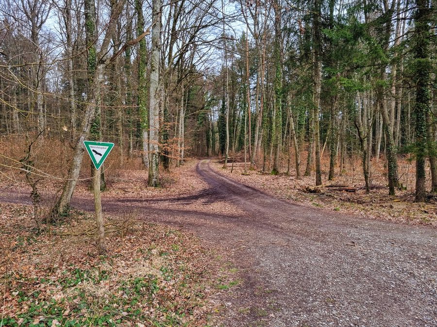 Riserva naturale di Litzelsee presso Radolfzell e Steißlingen
