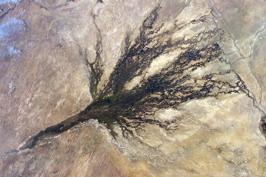 Veduta aerea del Delta dell’Okavango in Botswana con corsi d’acqua ramificati e aree umide verdi