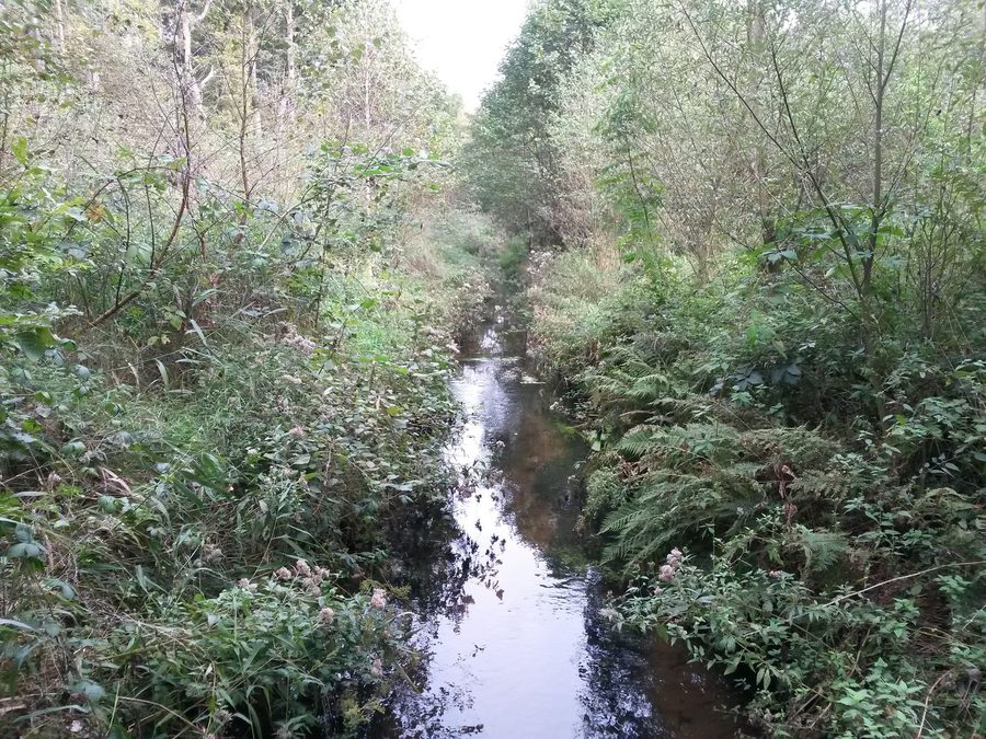 Fluss Fintau in der ländlichen Umgebung von Fintel