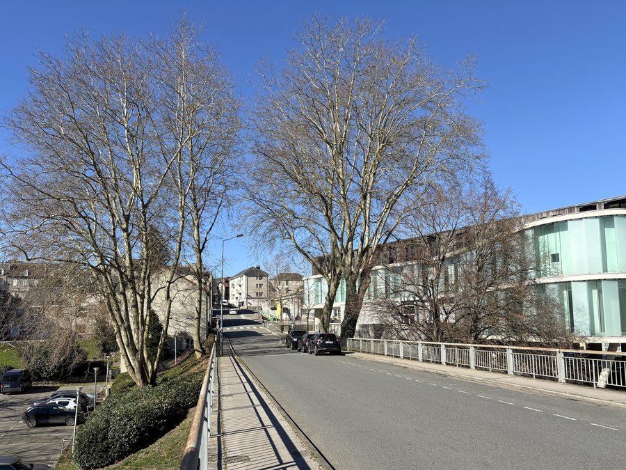 File:Guéret - Avenue Fayolle - 20250305 (1).jpg