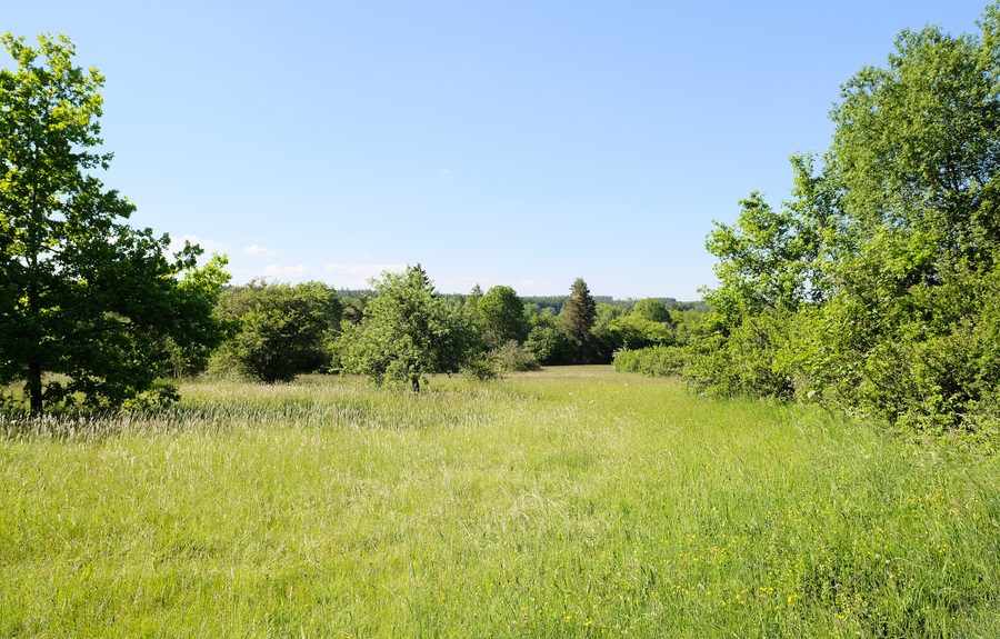 Landschaft im Naturschutzgebiet Tannhörnle bei Pfaffenweiler in Villingen-Schwenningen