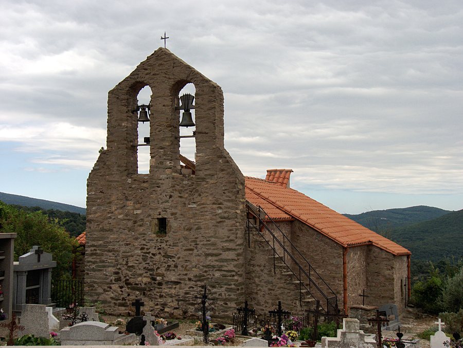 File:Taulis 2011 01.jpg