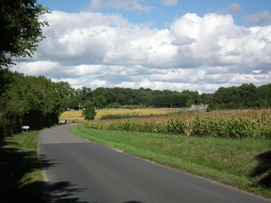 Paysage à Breuillet, Charente-Maritime