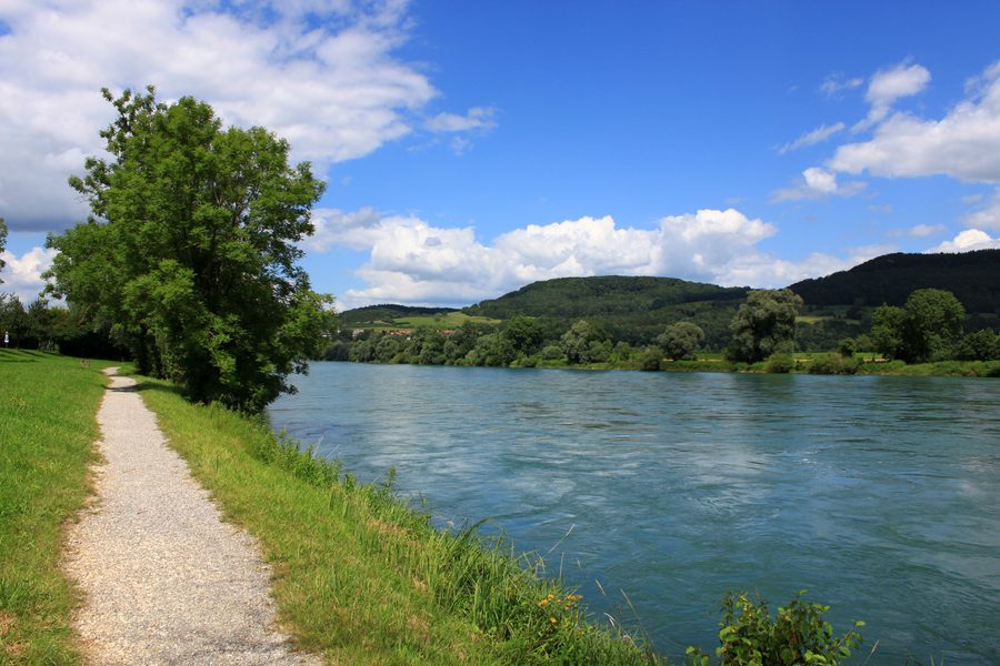 Rhein bei Bad Zurzach in der Schweiz