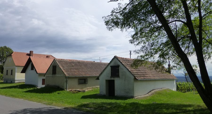 Paesaggio di vigneti nel Burgenland meridionale