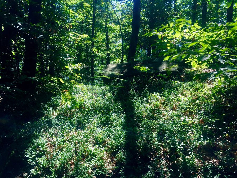 Parco protetto del Sacro Monte della Santissima Trinità di Ghiffa