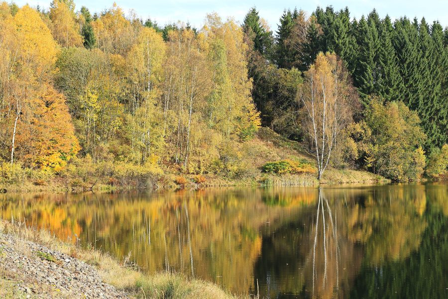 Talsperre Eibenstock in Sachsen, surrounded by wooded Ore Mountains landscape