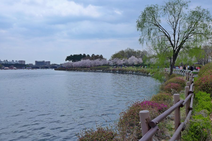 Parco verdeggiante in Gyeonggi-Do