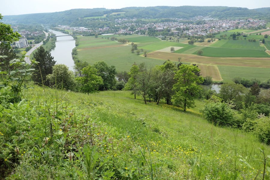 Blick über das Neckartal auf Obrigheim und die bewaldeten Ausläufer des Odenwaldes