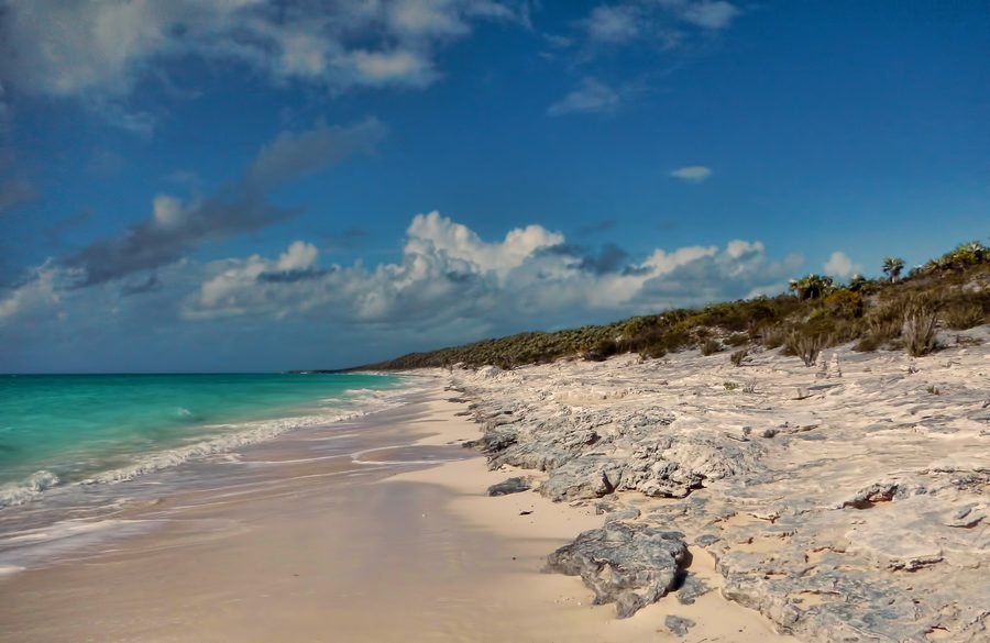 Sandstrand am Alligator Point auf Cat Island mit klarem Küstenwasser und Silberpalmen