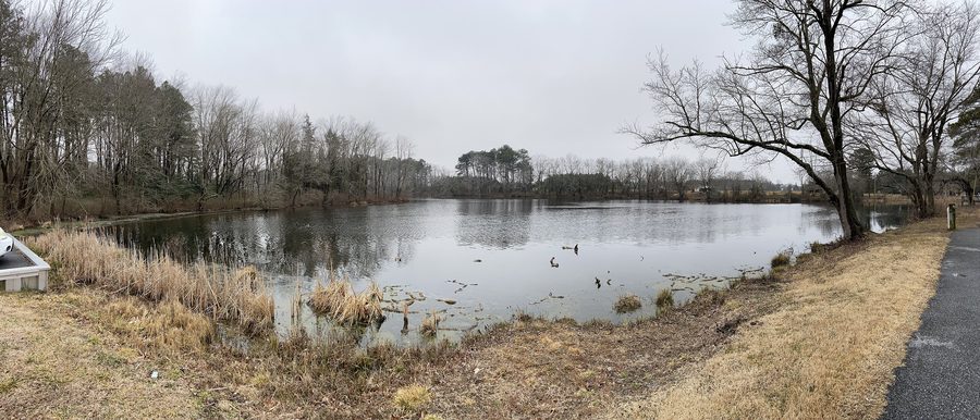 Stagno presso l’Abbott’s Mill Nature Center vicino a Milford, Delaware