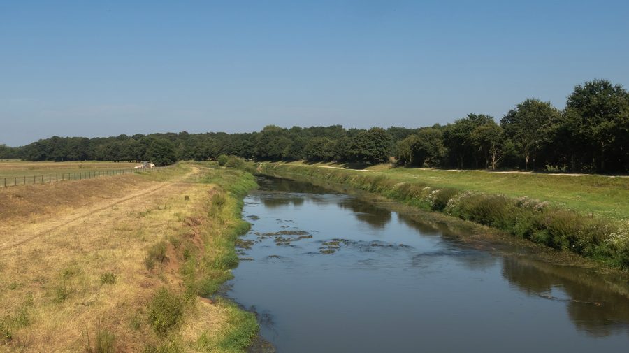 Die Hase zwischen Haselünne und Dohren in einer grünen Flusslandschaft