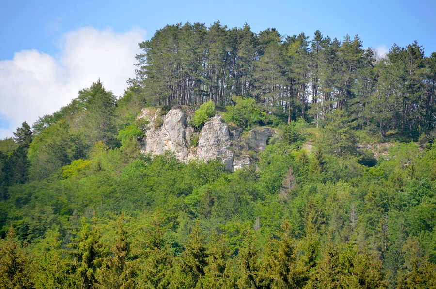 Wenzelstein im Naturschutzgebiet Schafberg-Lochenstein bei Hausen am Tann