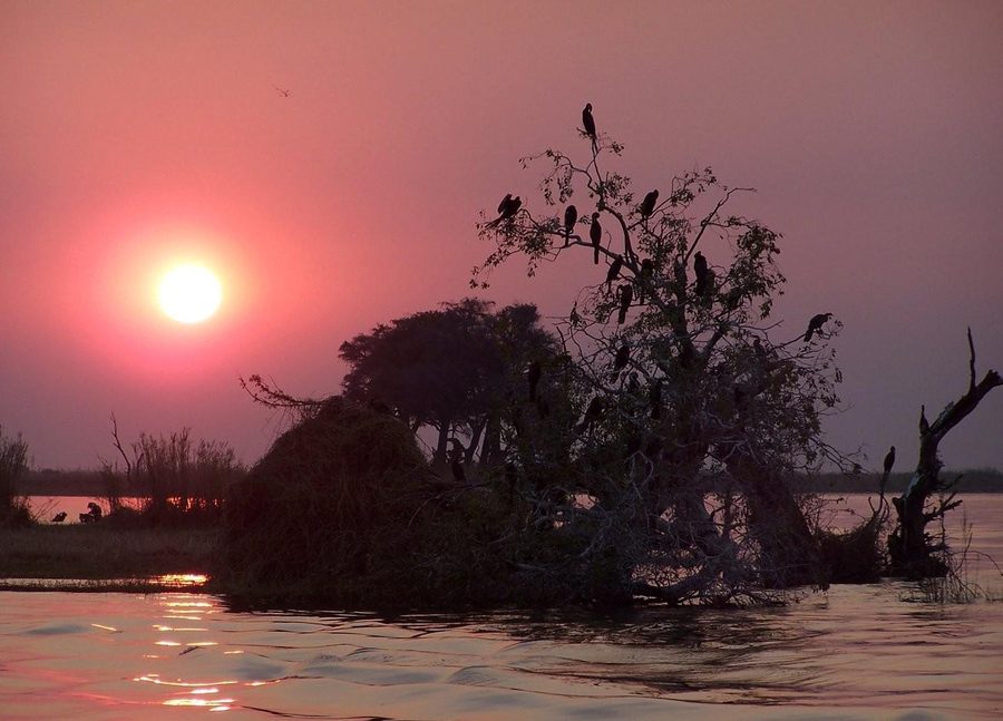 Paesaggio fluviale sul Chobe River in Namibia
