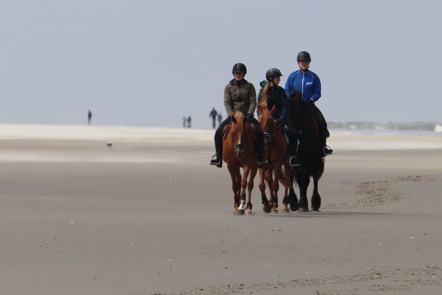 Reiter am breiten Strand von Schiermonnikoog vor der Dünenlandschaft