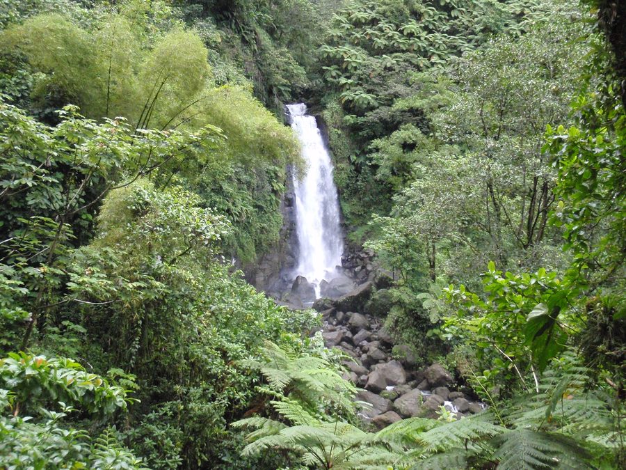 Trafalgar Falls a Dominica