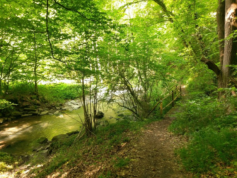 Dörsbach im Jammertal bei Katzenelnbogen im Rhein-Lahn-Kreis