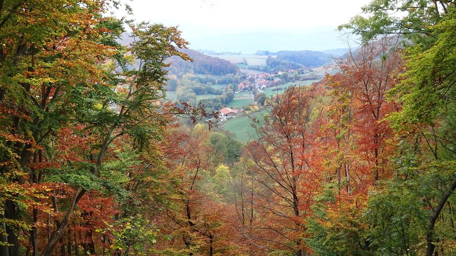 Paesaggio presso Asbach nel Parco naturale Eichsfeld-Hainich-Werratal