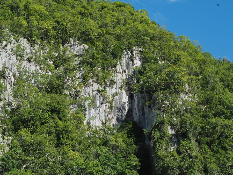Mogote nahe Comedero Arriba in Sánchez Ramírez