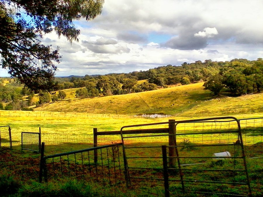 Offene Weide auf einer alten Farm in Cottle's Bridge nahe Melbourne