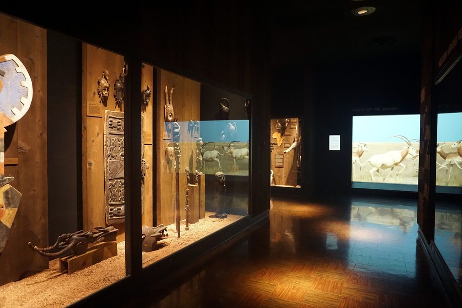 Foto del Milwaukee Public Museum con riferimento all’Africa occidentale e meridionale.