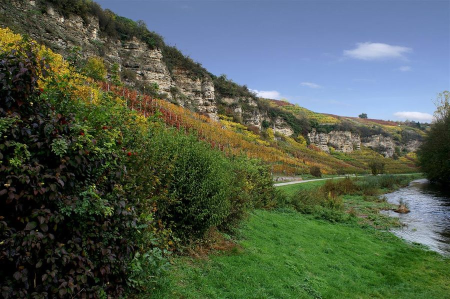 Enztal bei Mühlhausen mit Flusslauf und bewaldeten Hängen