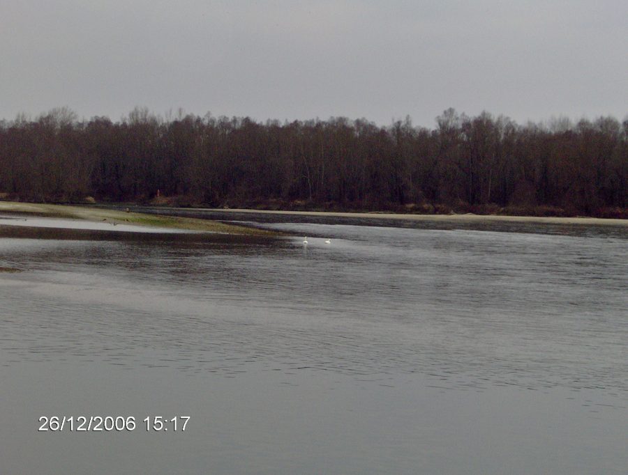 Die Drava bei Ferdinandovac in Kroatien