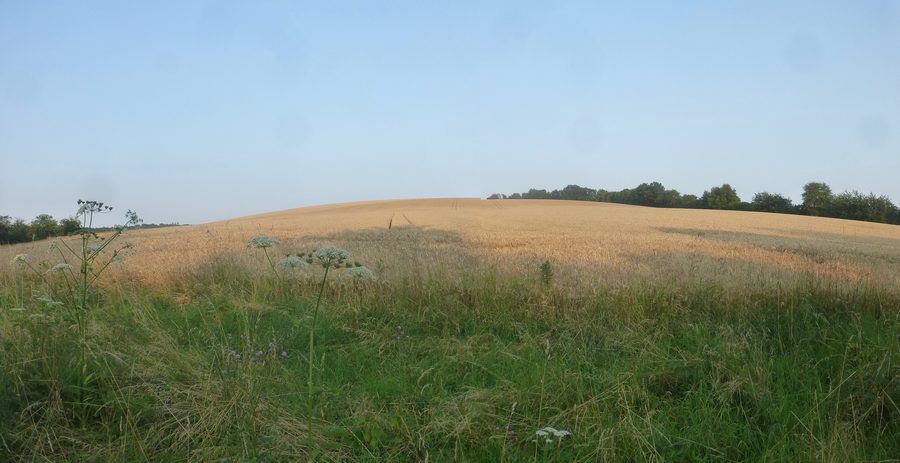 Ex strada di pattugliamento a nord-est di Teistungen al confine