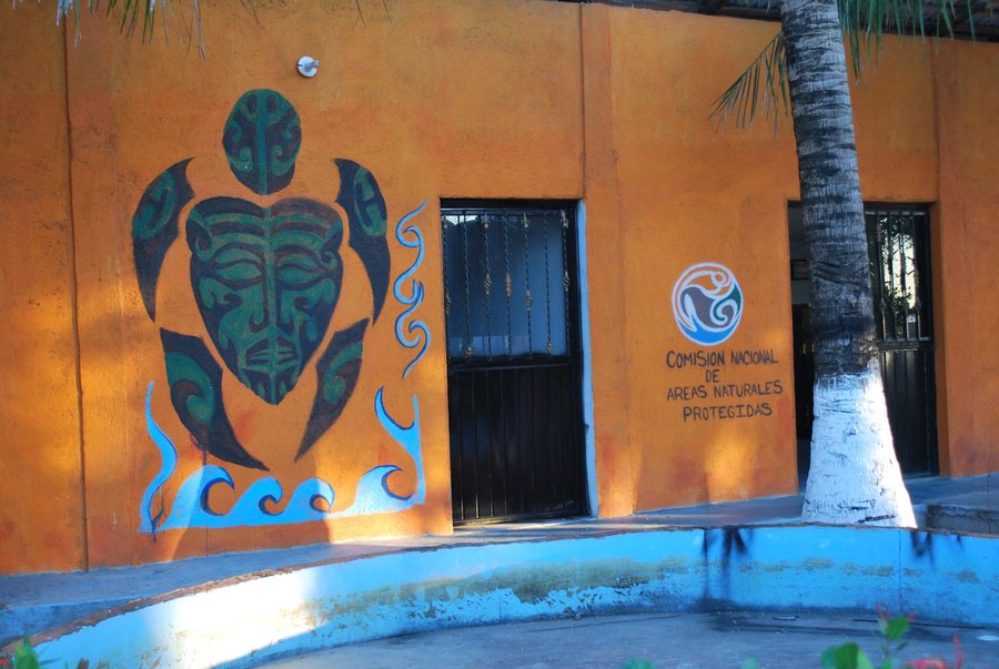 Murale stilizzato di una tartaruga marina presso il santuario delle tartarughe e dei coccodrilli di Puerto Arista